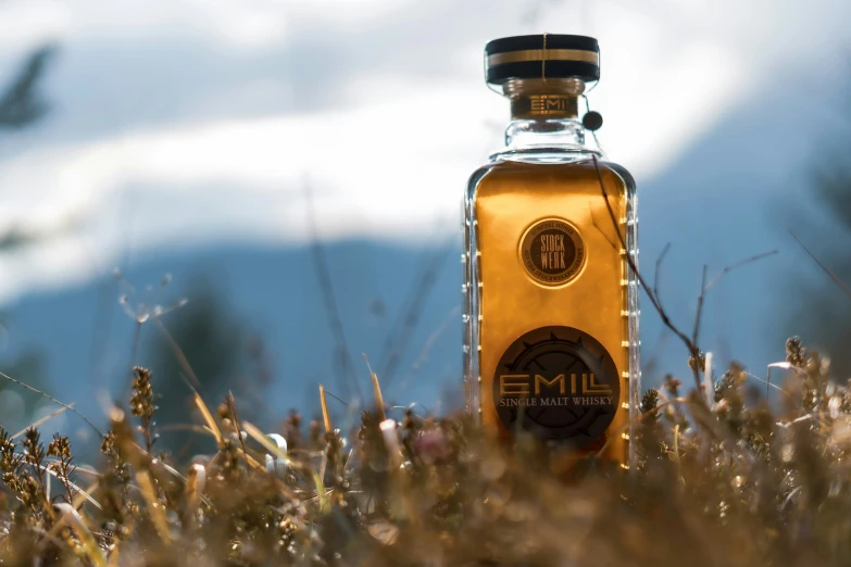 a bottle of bourbon on a mountain with a blue sky and clouds in the background