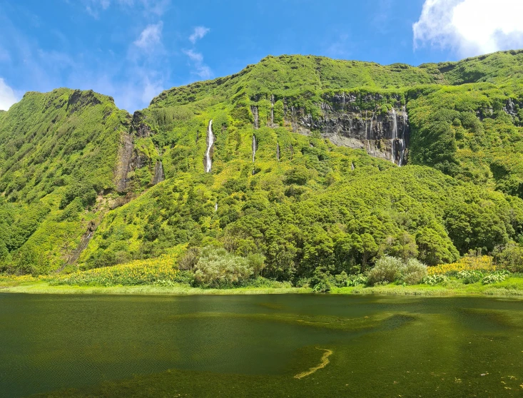 a lush green mountain side that overlooks the water