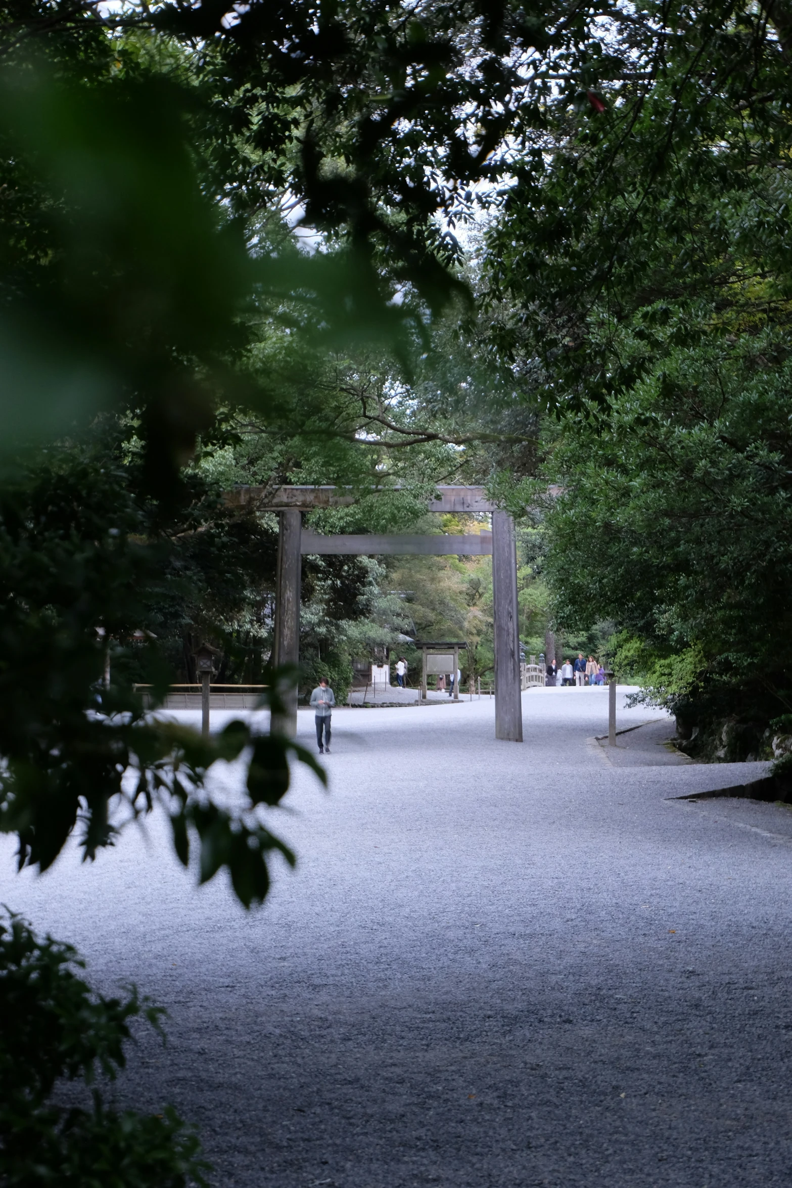 many people are walking down the pathway in a park