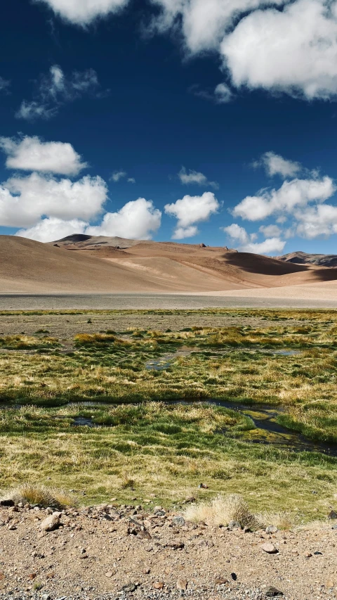 a grassy area with a blue sky in the background