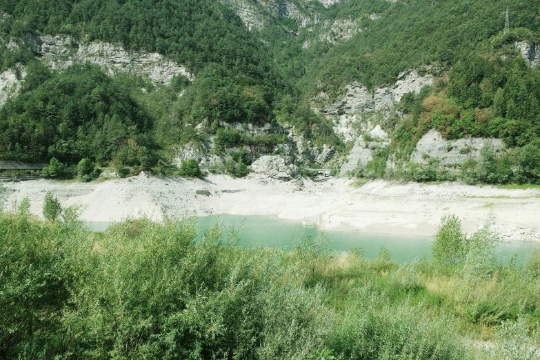 trees and grass near water in the mountains