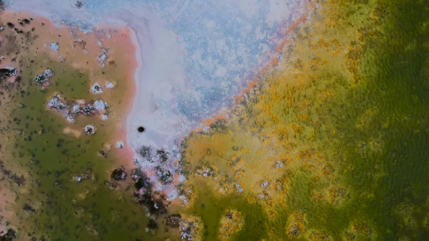 an aerial s of water, trees and vegetation