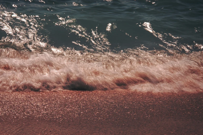 a small bird stands on the shore by the waves