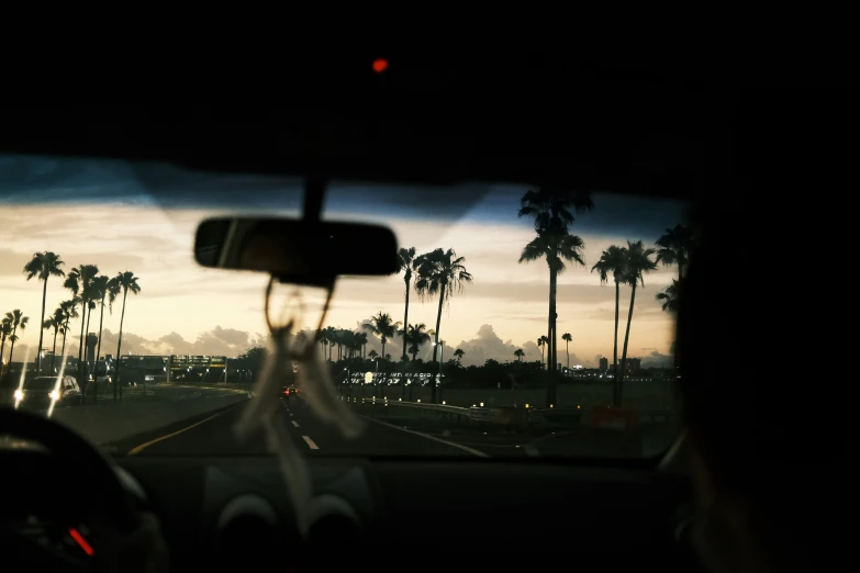 car driving down the road with palm trees