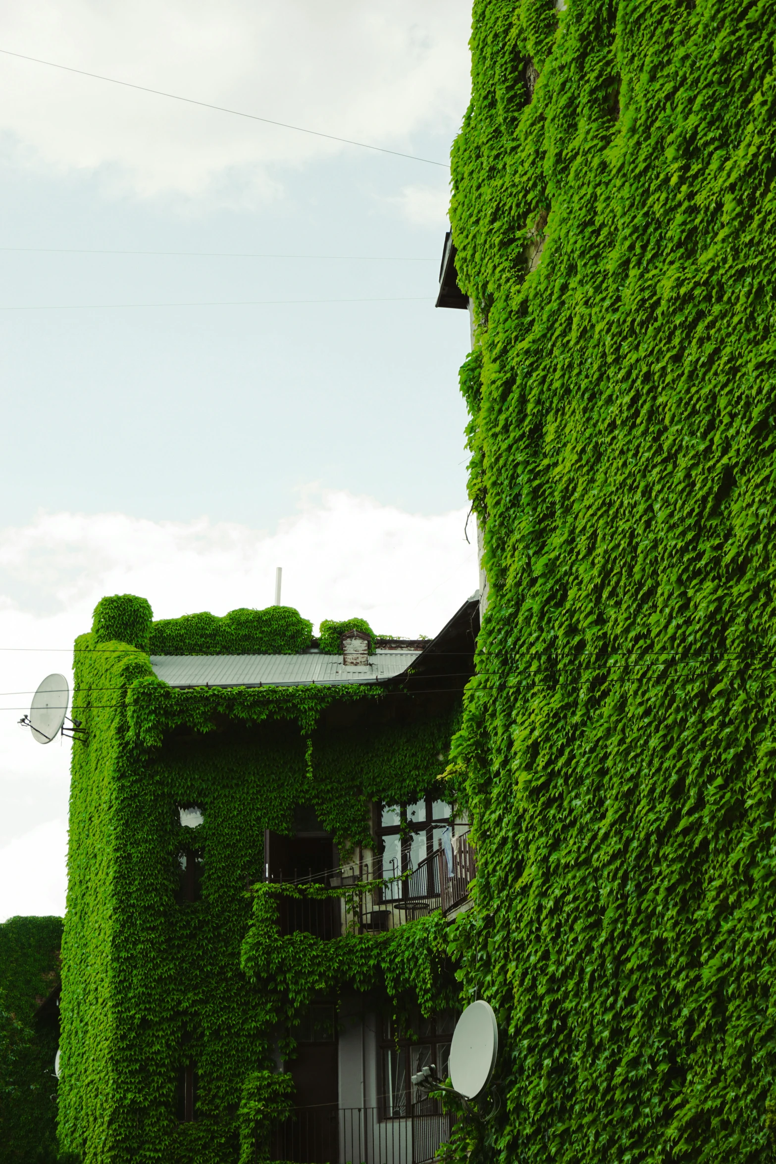 two building covered in green vines with an antenna on top