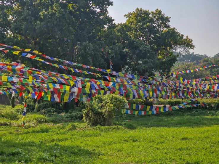 a large number of colorful flags flying in the wind