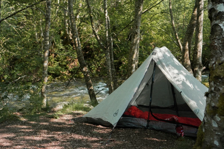 a tent in the woods surrounded by tall trees