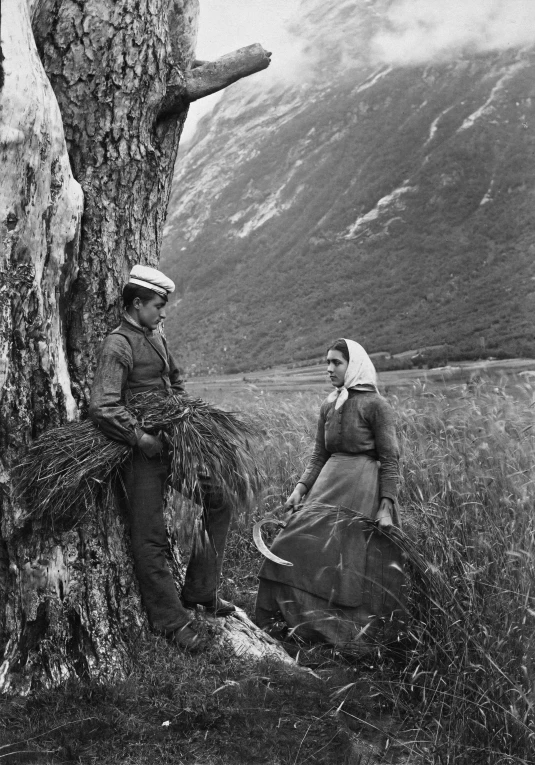 an old couple sits by a big tree