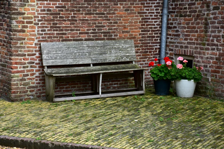 two potted plants sit behind a bench