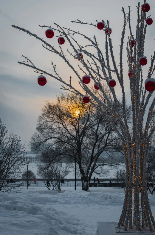 a snow covered tree has red lanterns hanging from it