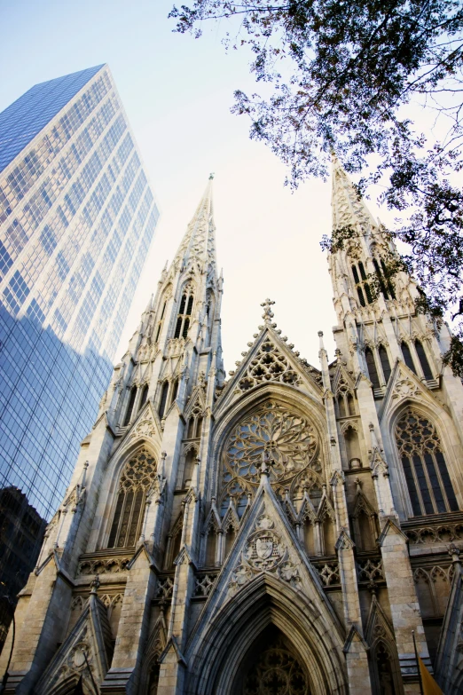 view of two cathedrals looking up in the sky