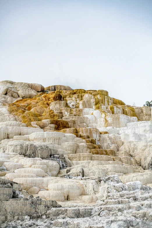 the landscape of the  springs in yellowstone has yellow and white colors