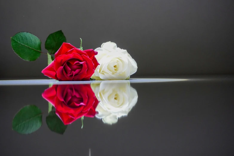 a bunch of roses resting on the ground