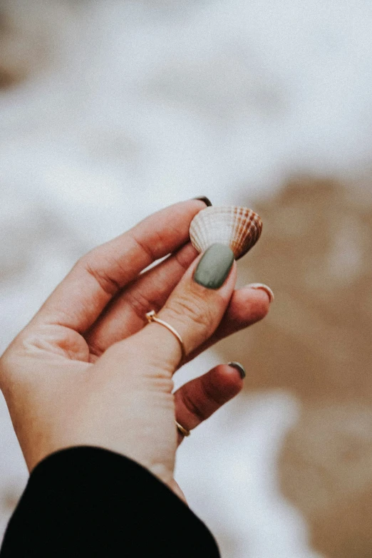 hand with ring holding a seashell next to water