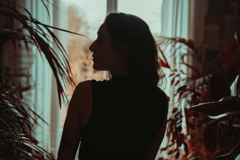 the silhouette of a person looking at plants