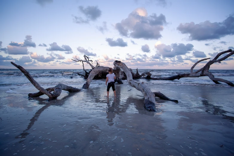 an adult standing near driftwood on the beach