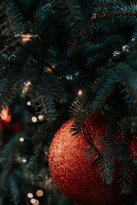 a close up of a christmas tree with lights