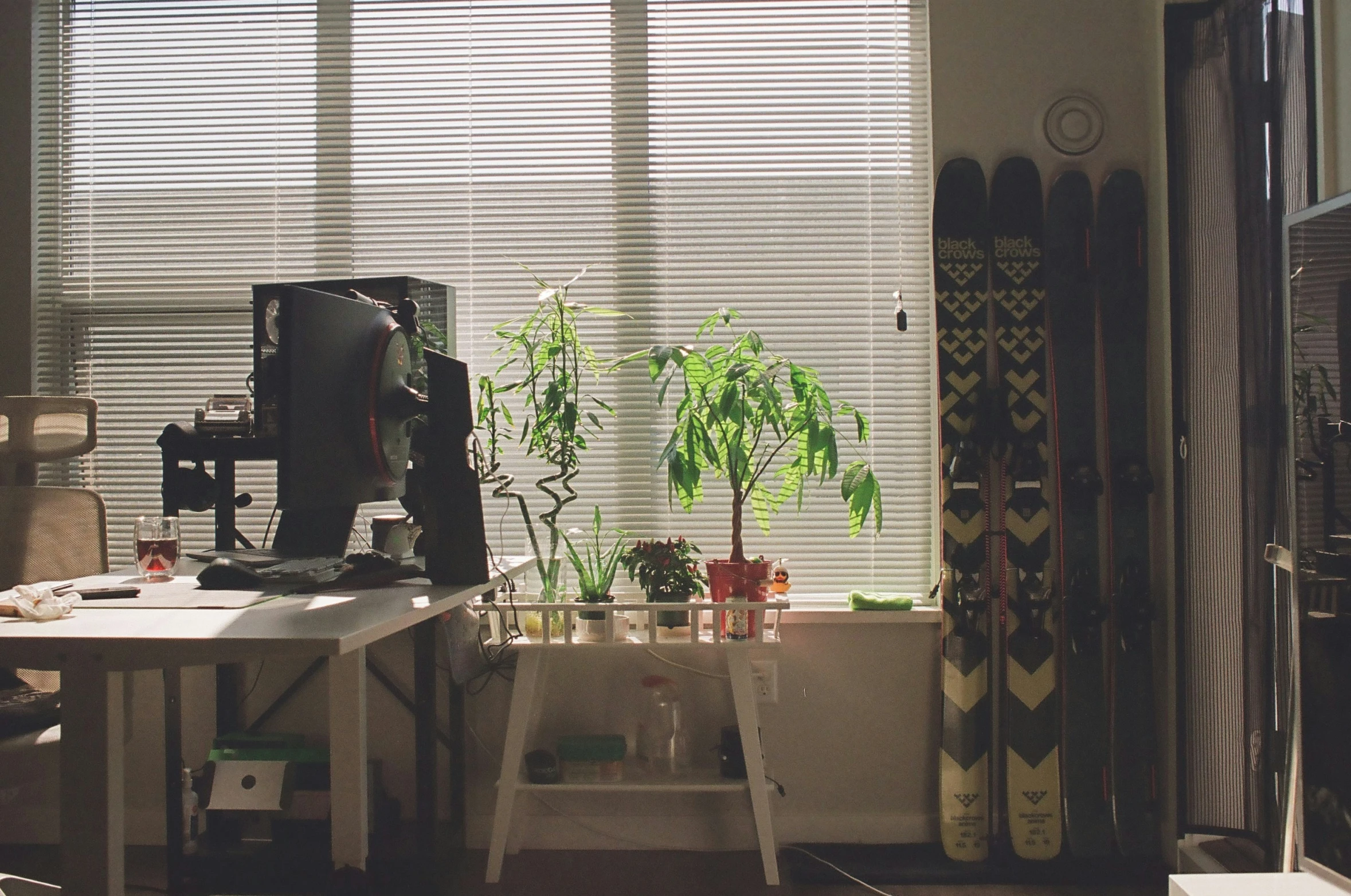 a room with some skateboards leaning against a wall