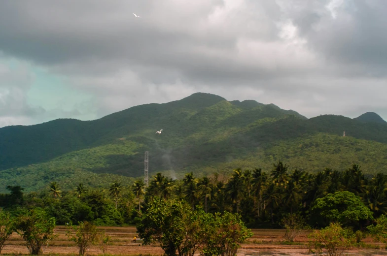 a mountain with trees in the foreground, some on the far side and another distant one on the far side