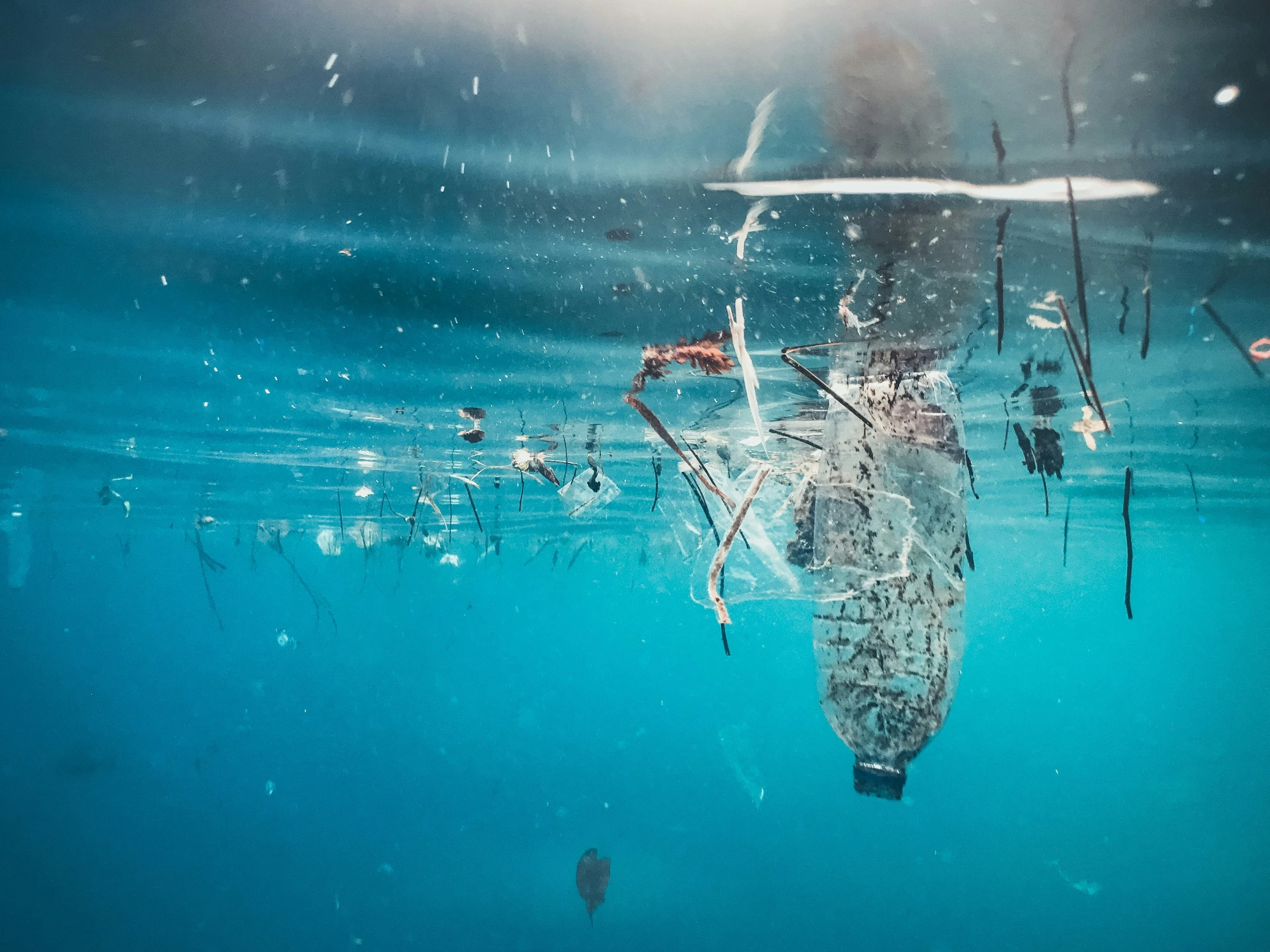 an underwater view of a surfboard on the ocean