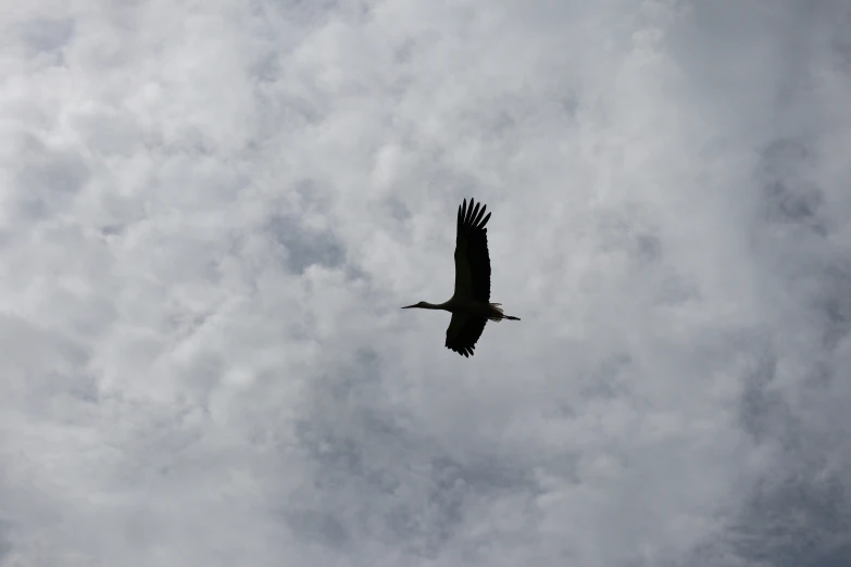 a large black bird flying through a cloudy sky