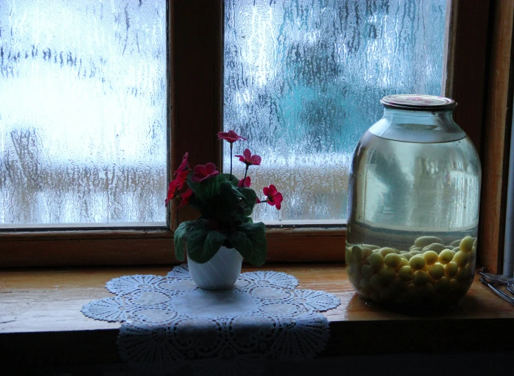 flowers are placed in the vase and flowers on the table next to it