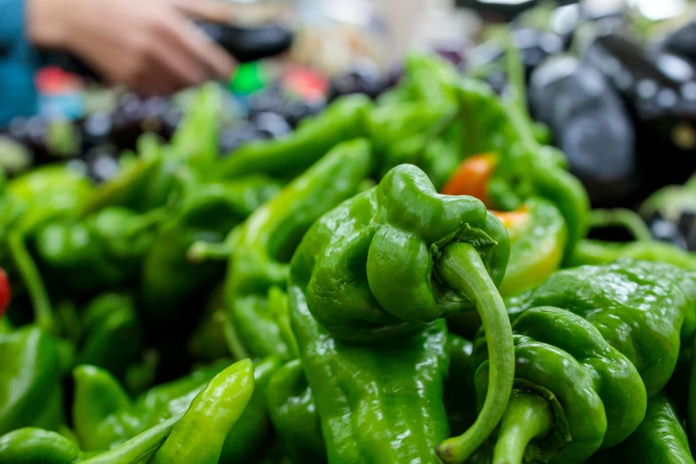 a close up view of a large pile of green peppers