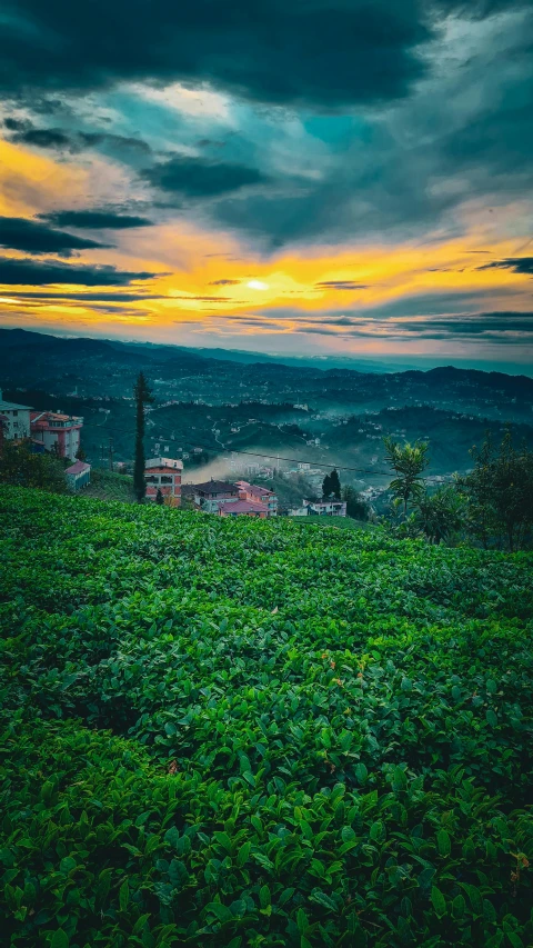 sunset at a hilltop overlooking the city of greenville