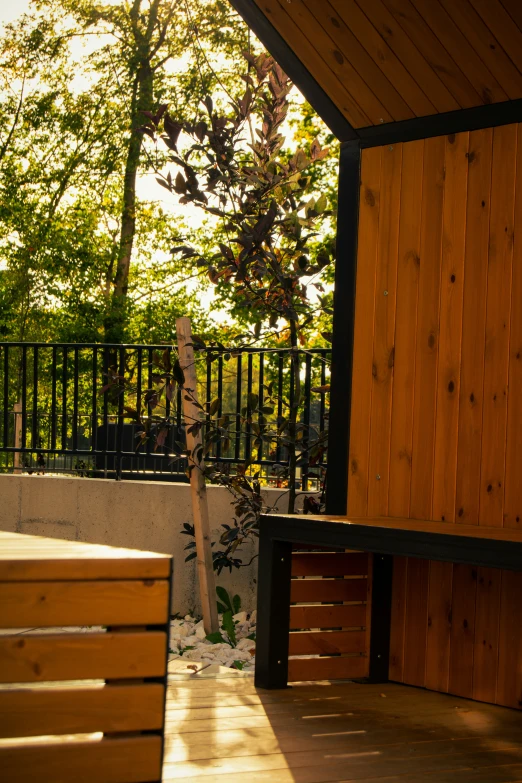 a wooden bench under a covered bench with a tree