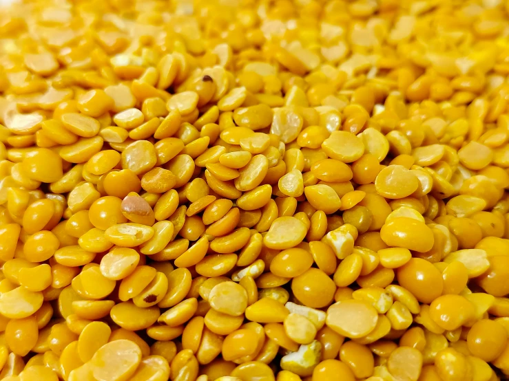 a pile of dried corn and beans on the counter