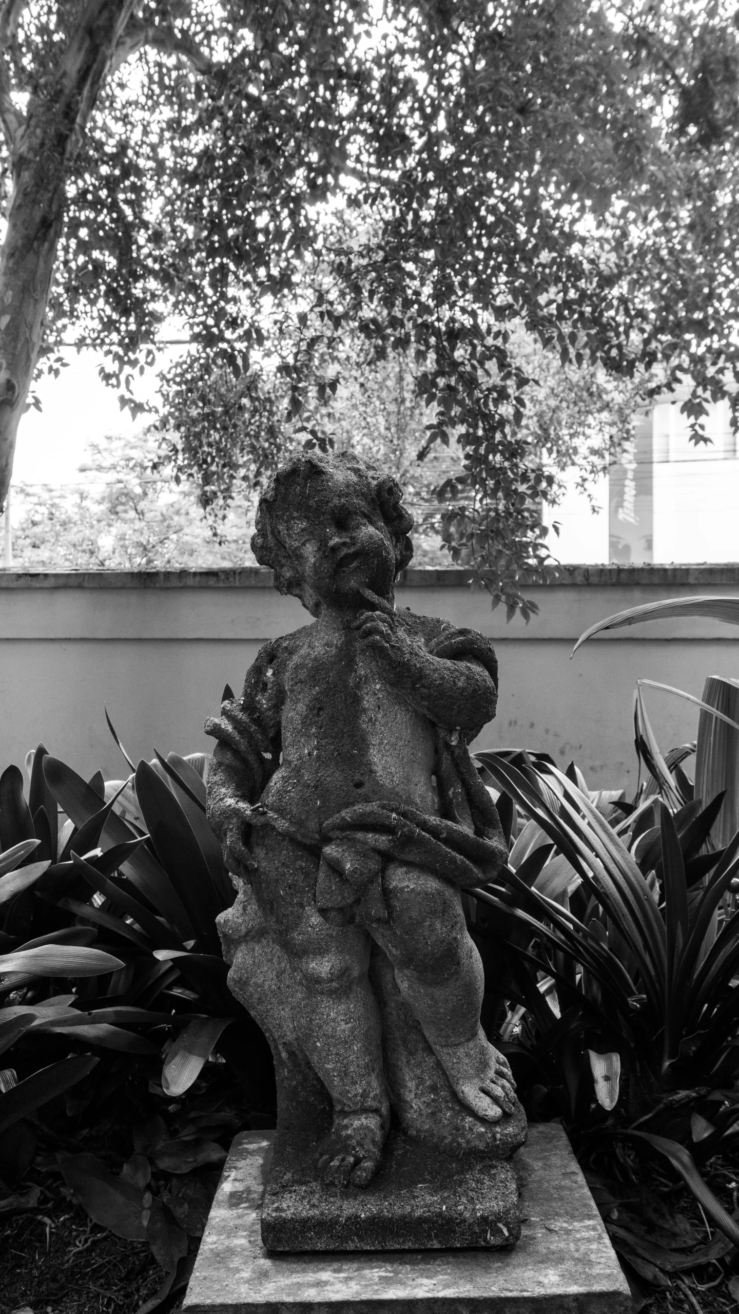 a statue that is sitting in the middle of a plant garden