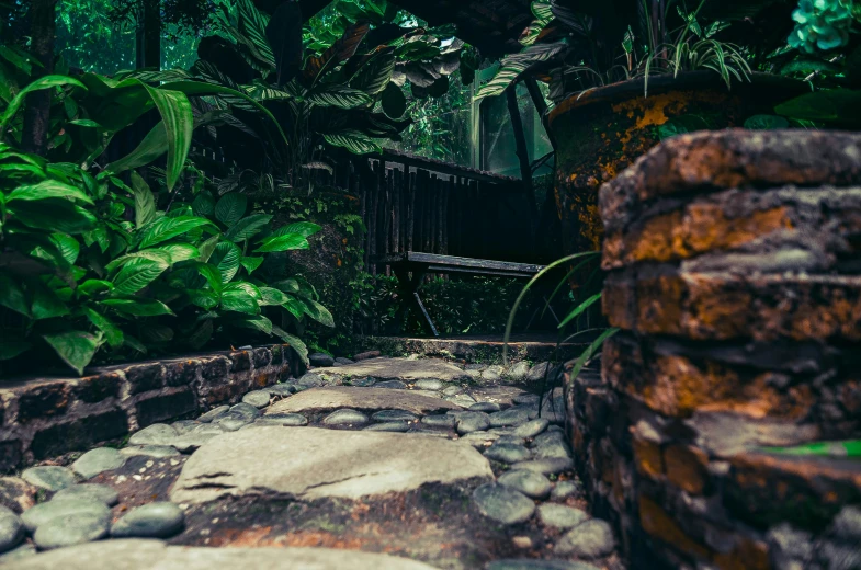 a po of a stone path in an overgrown area