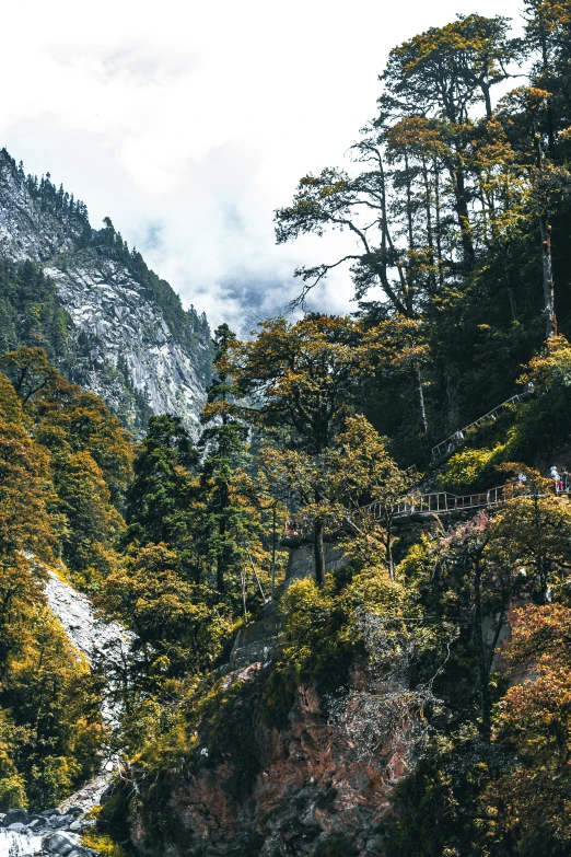 a scenic view of a mountain landscape with snow and evergreen trees