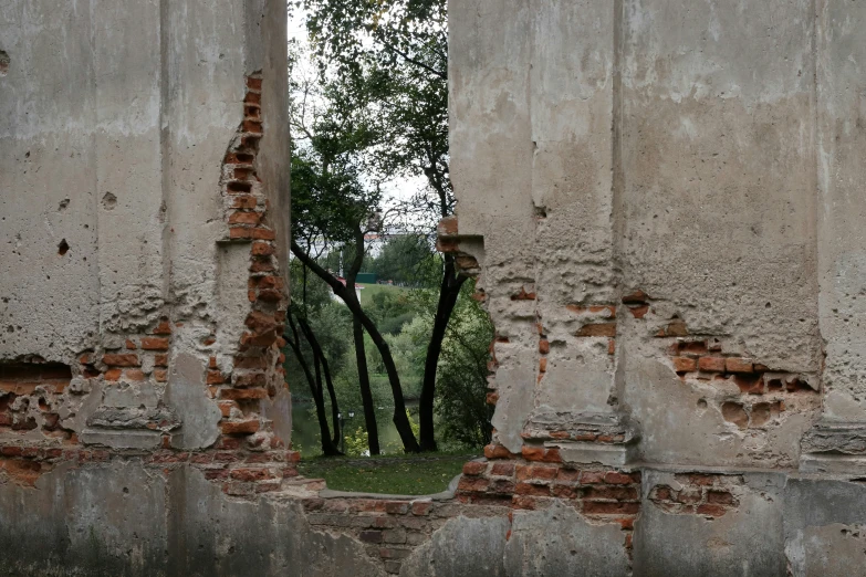 a wall with a tree seen through the hole