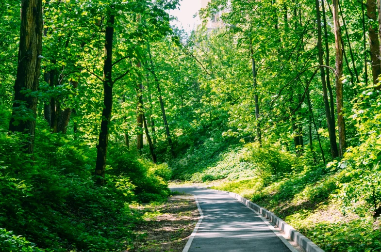 the road is very long and narrow, which allows for people to ride