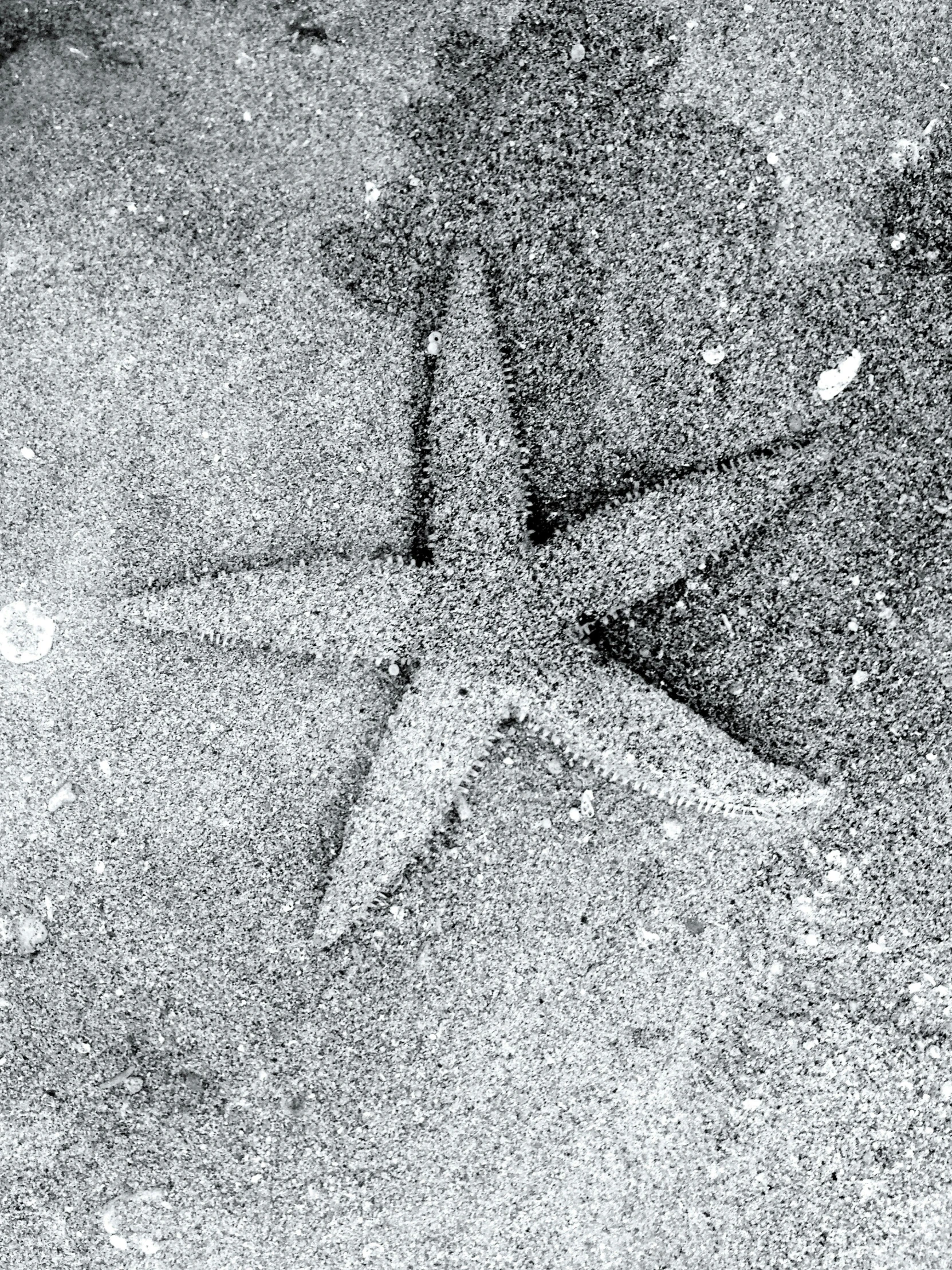 an object on the ground is seen with light