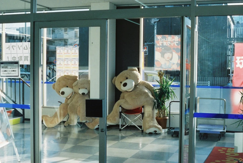 two teddy bears sitting on a chair, each with a separate seat