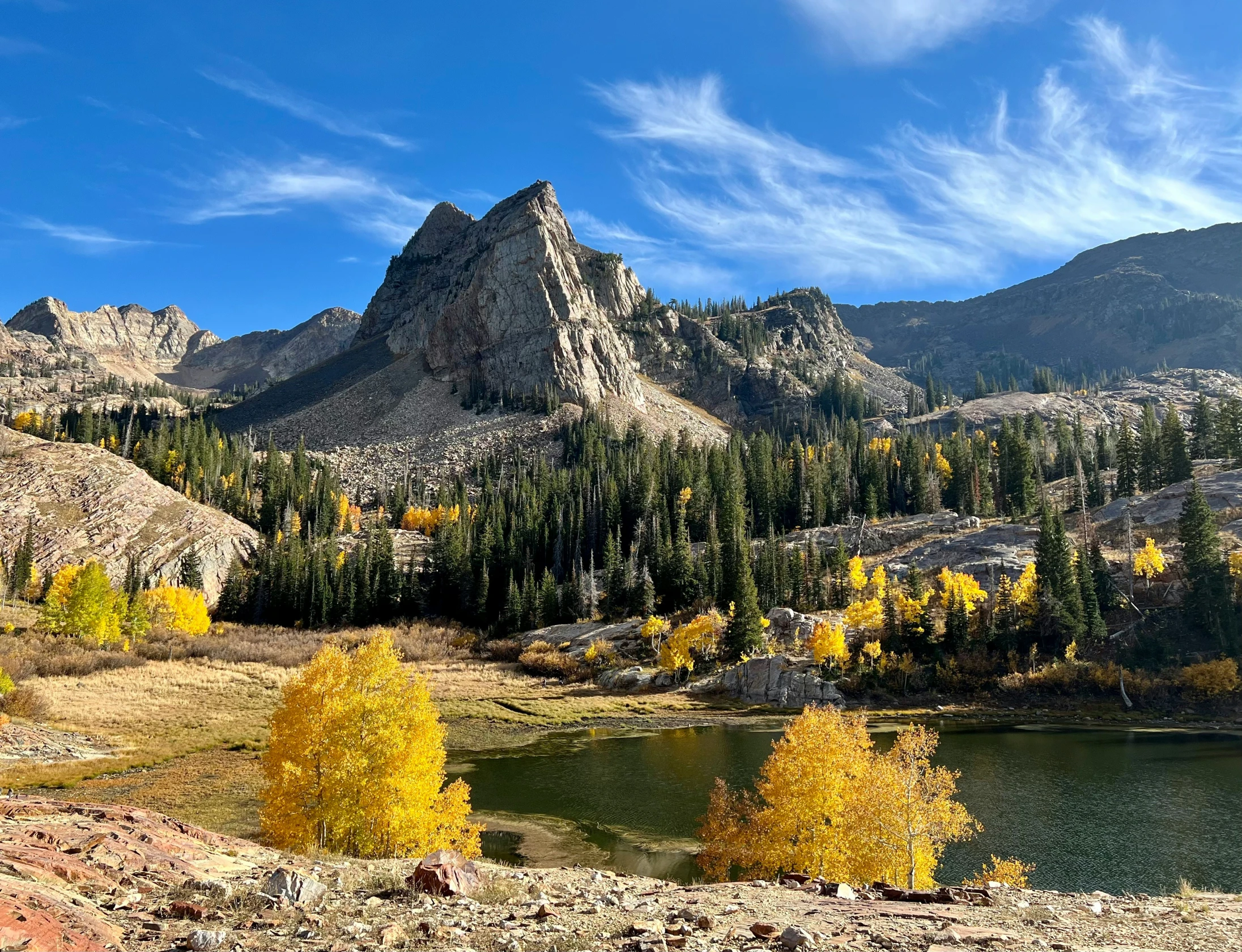 some yellow trees in the mountains next to some water