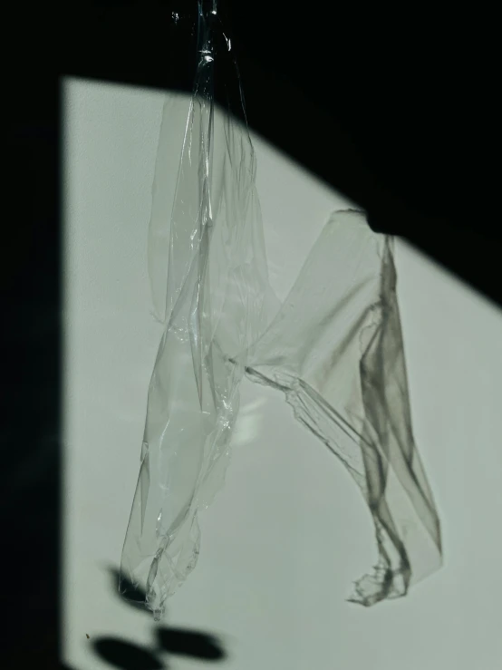 the shadow of a plastic bag with a light bulb hanging