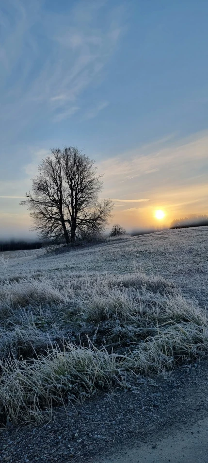 the sunset is reflected in a frosty field