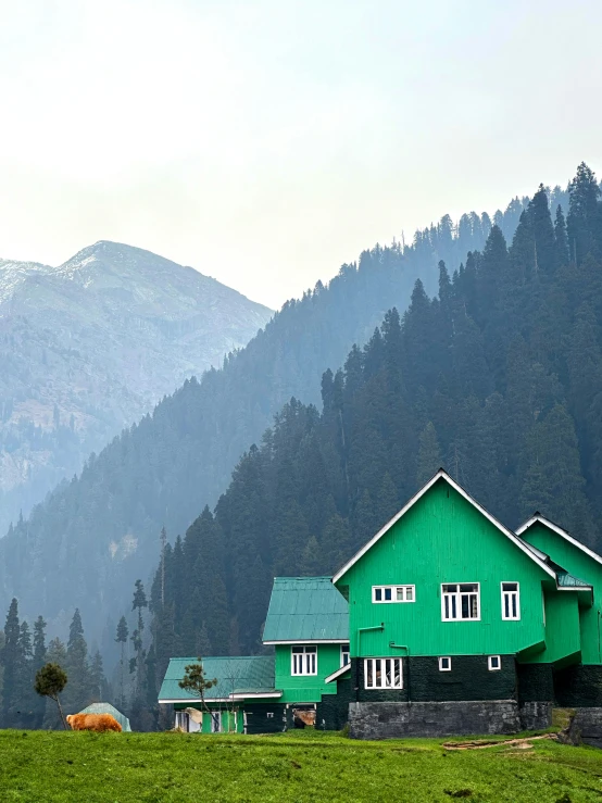 a green house in the mountains that is green