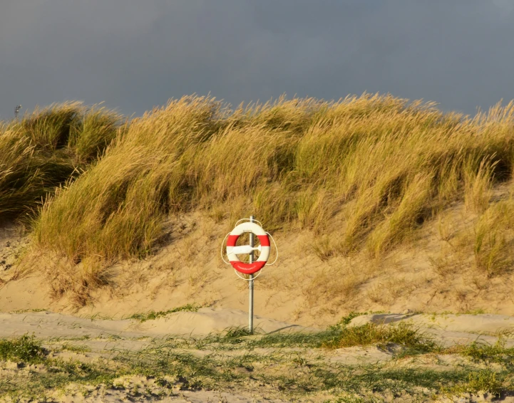 a street sign in front of an outcropping of sand