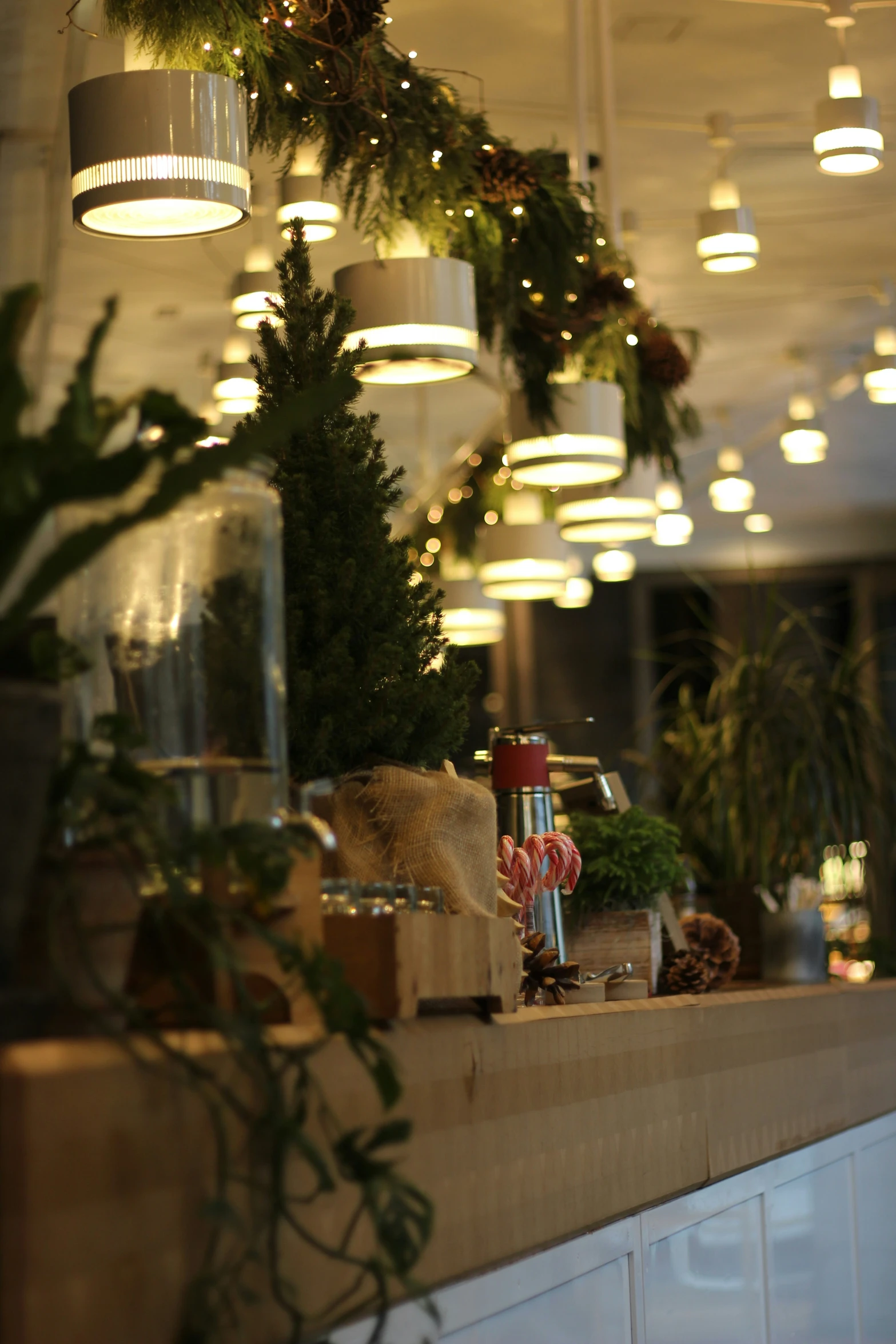 the counter is decorated with a lot of christmas lights