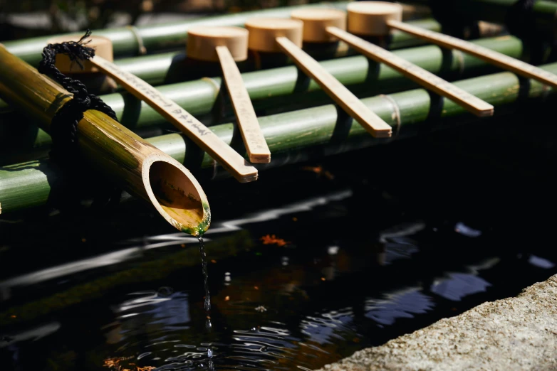 bamboo poles, sticks and the water are in a pond