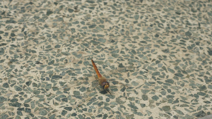 a metal object on top of a marble slab