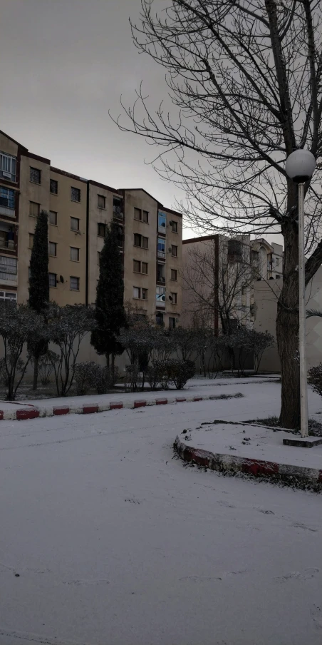 the park is covered in a layer of snow