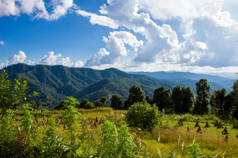 a treeline view of some green hills and clouds