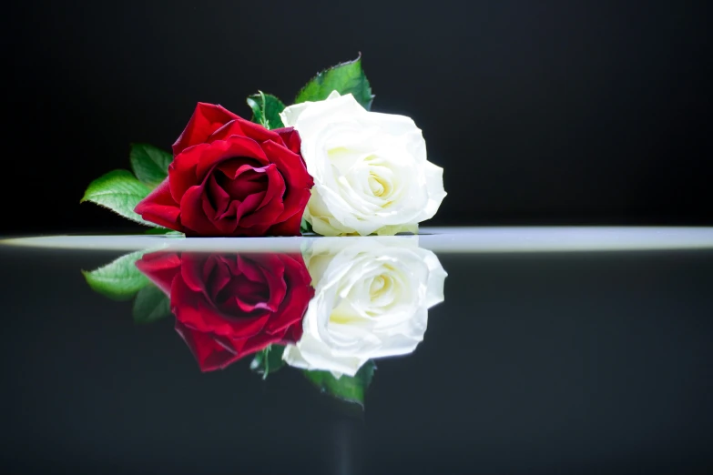 two roses sitting on a table with water reflection