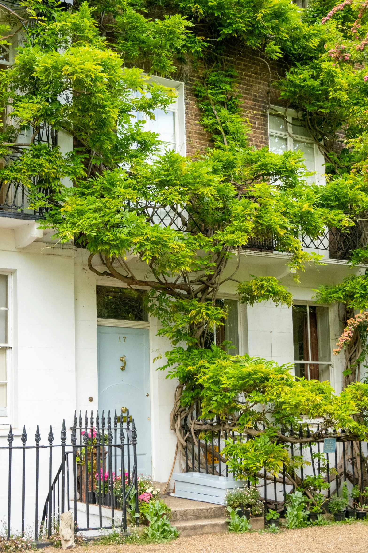 a white house is surrounded by trees and vines