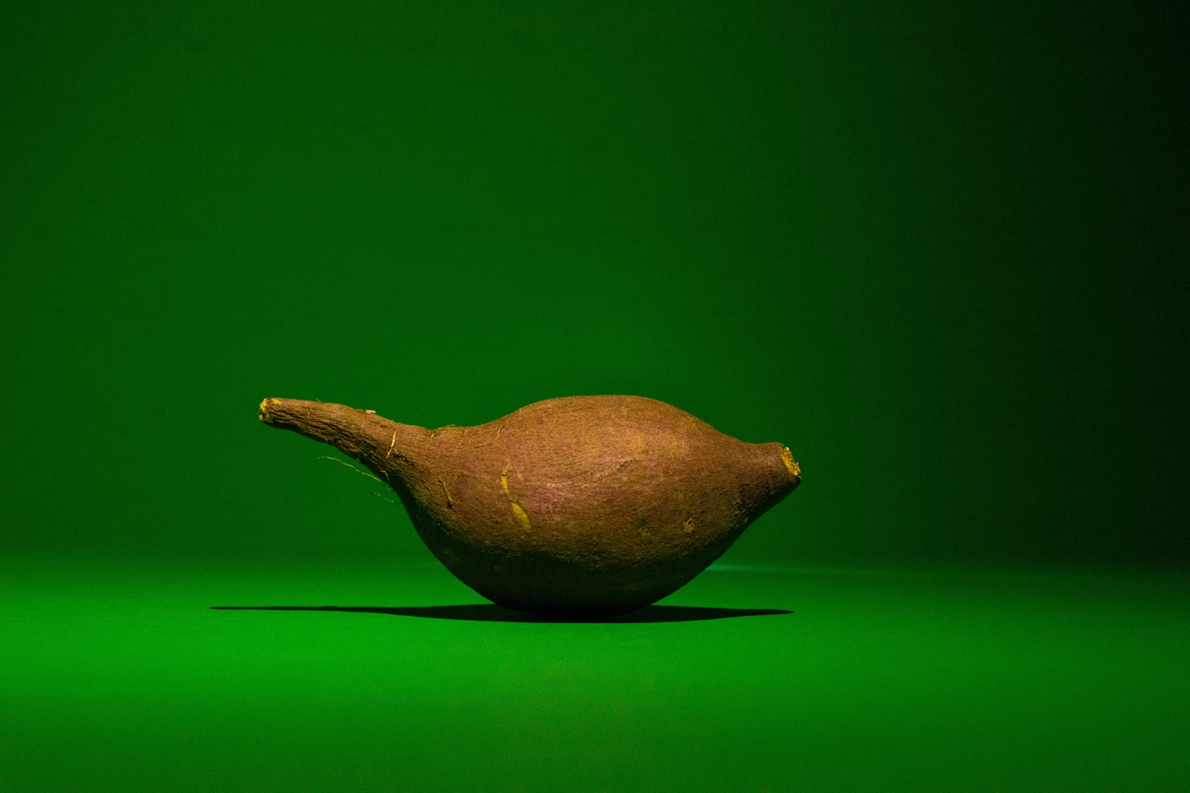 a round object sitting on top of green counter